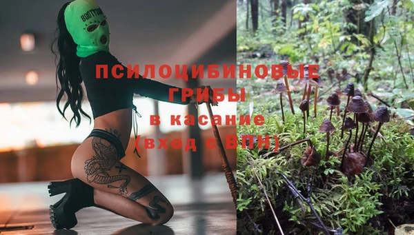 соль ск Россошь