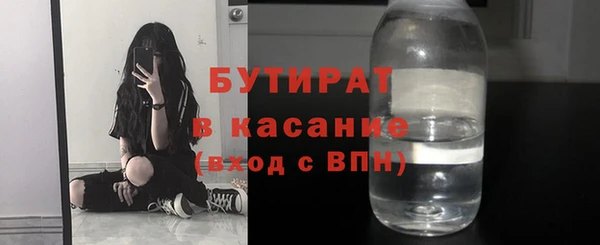 индика Алзамай