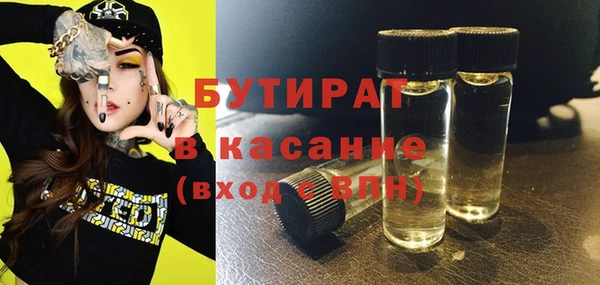 индика Алзамай