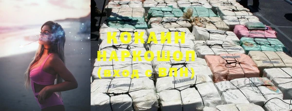 индика Алзамай