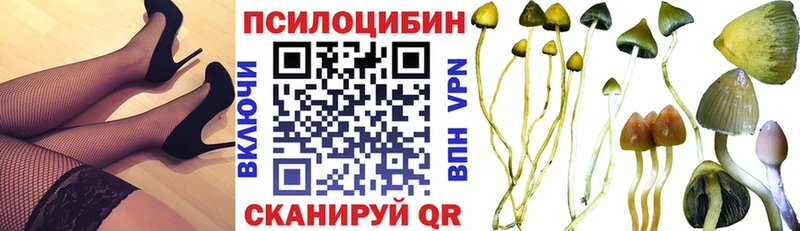 Псилоцибиновые грибы прущие грибы  Мещовск 